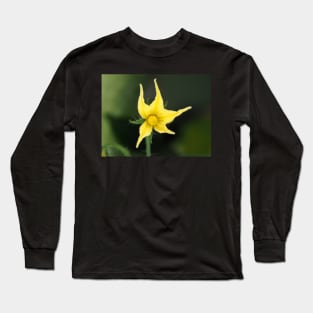 Tomato flower close-up Long Sleeve T-Shirt